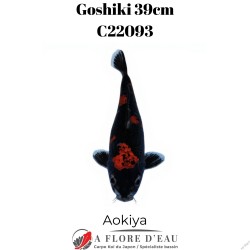 Goshiki