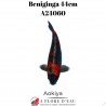 Beniginga 44cm A24060