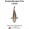Ki Matsuba ogon 47cm Marusei