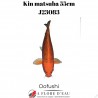 Kin matsuba 55cm Oofushi J23083