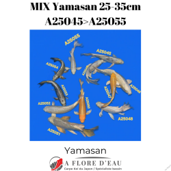 Mix Yamasan 25-35cm