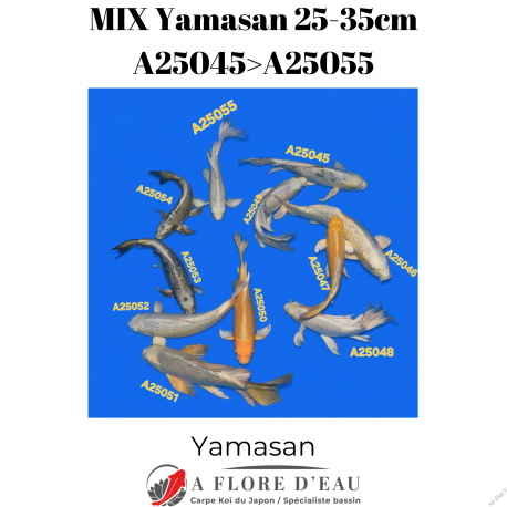 Mix Yamasan 25-35cm