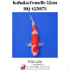 Kohaku Femelle HQ 52cm